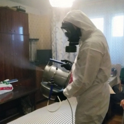 Дезинфекция от клопов в Благовещенске