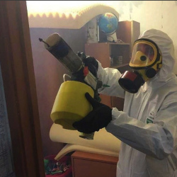 Уничтожение клопов в квартире. Благовещенск